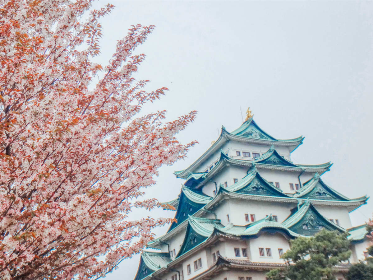 dating spots in nagoya As the sun sets, what is there to do in nagoya with our guide to the city's nightlife, finding things to do in nagoya at night has never been. dating spots in nagoya As the sun sets, what is there to do in nagoya with our guide to the city's nightlife, finding things to do in nagoya at night has never been.