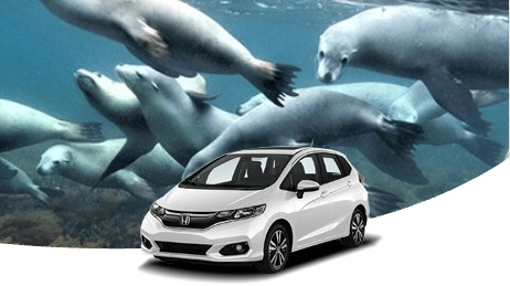 Port Lincoln car rentals | Choose from multiple car models