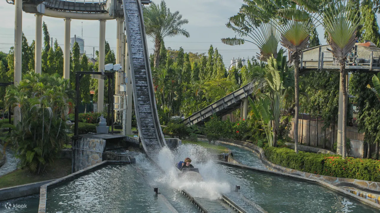 Jungle Log Jam