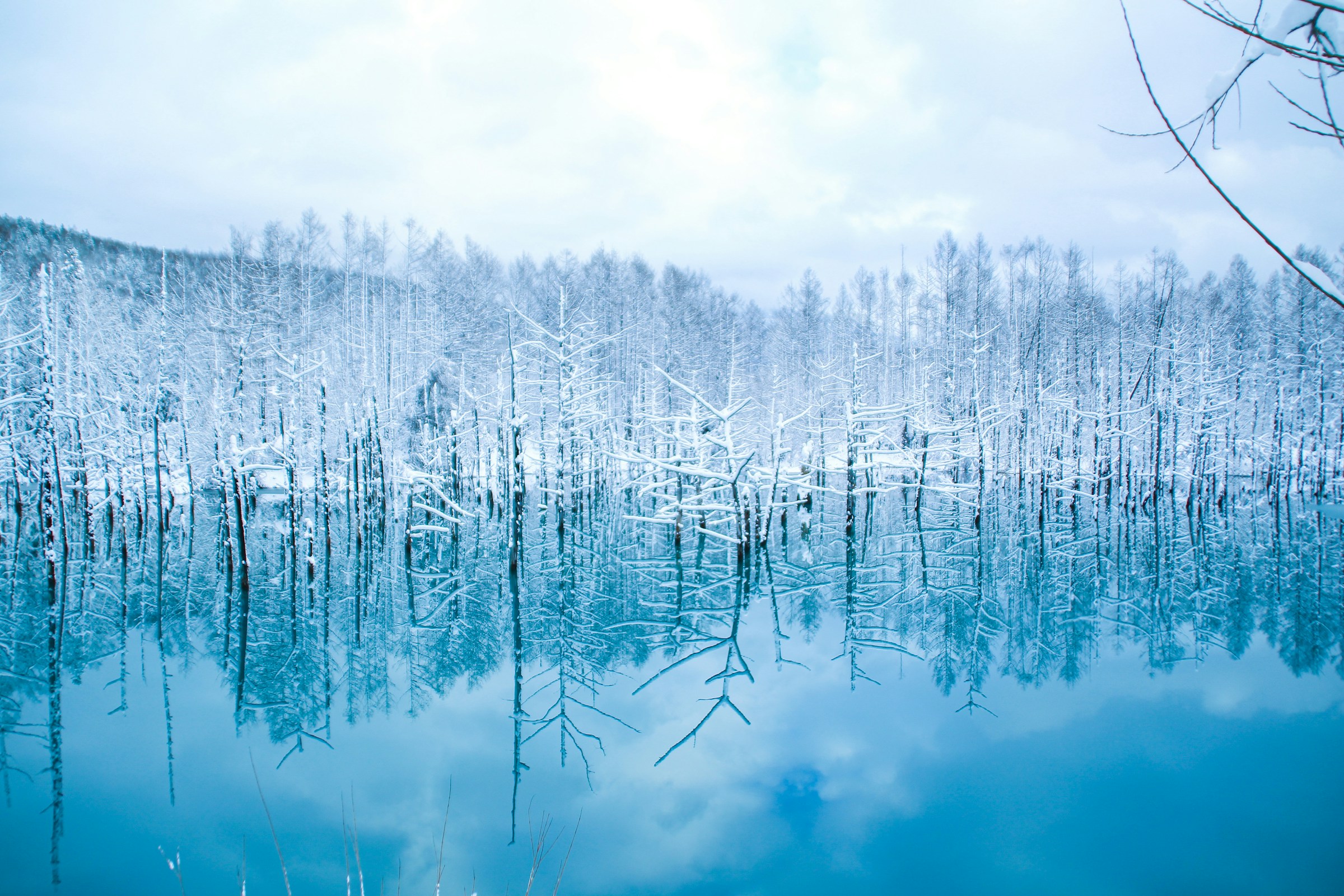 A serene and ethereal winter landscape at the Shirogane Blue Pond (Aoiike) in Biei, Japan. The pond's water is a striking, milky turquoise blue and is almost perfectly still, creating a glassy surface.