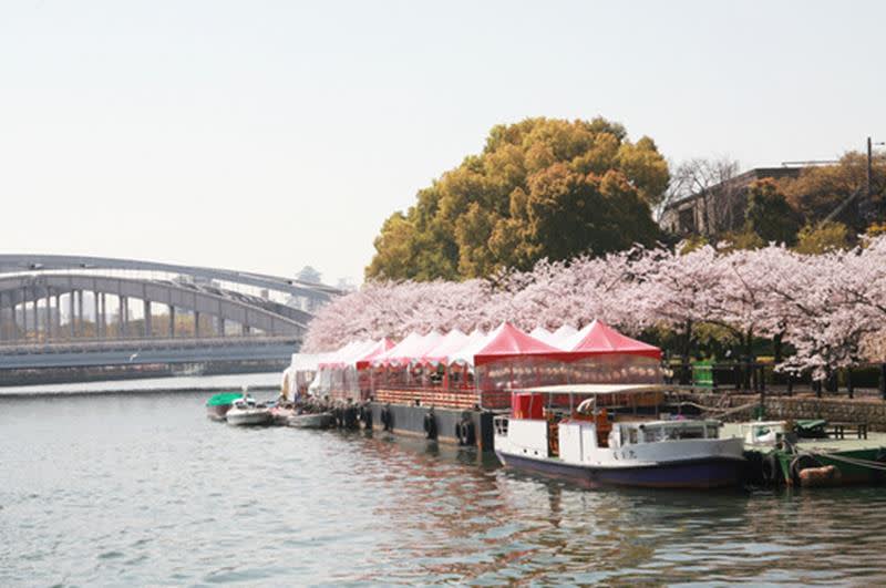 這個春天就改搭櫻花船及水上巴士賞櫻！（照片來源：大阪觀光局PHOTO　LIBRARY）http://www.osaka-info.jp/photo_library/