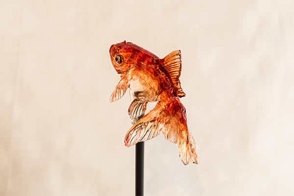 (照片來源:www.ame-shin.com)