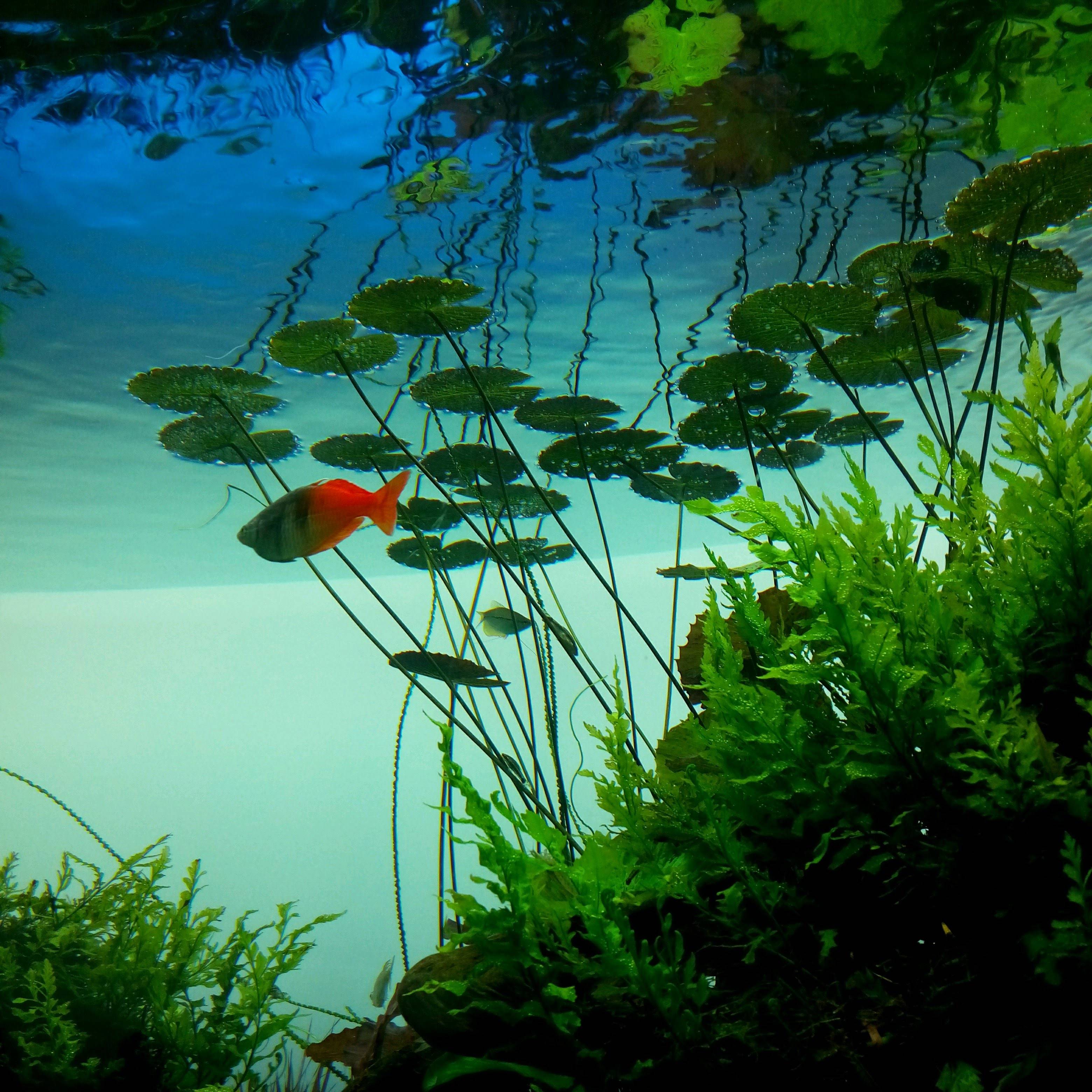 每個水槽都小小的，但都很精緻！