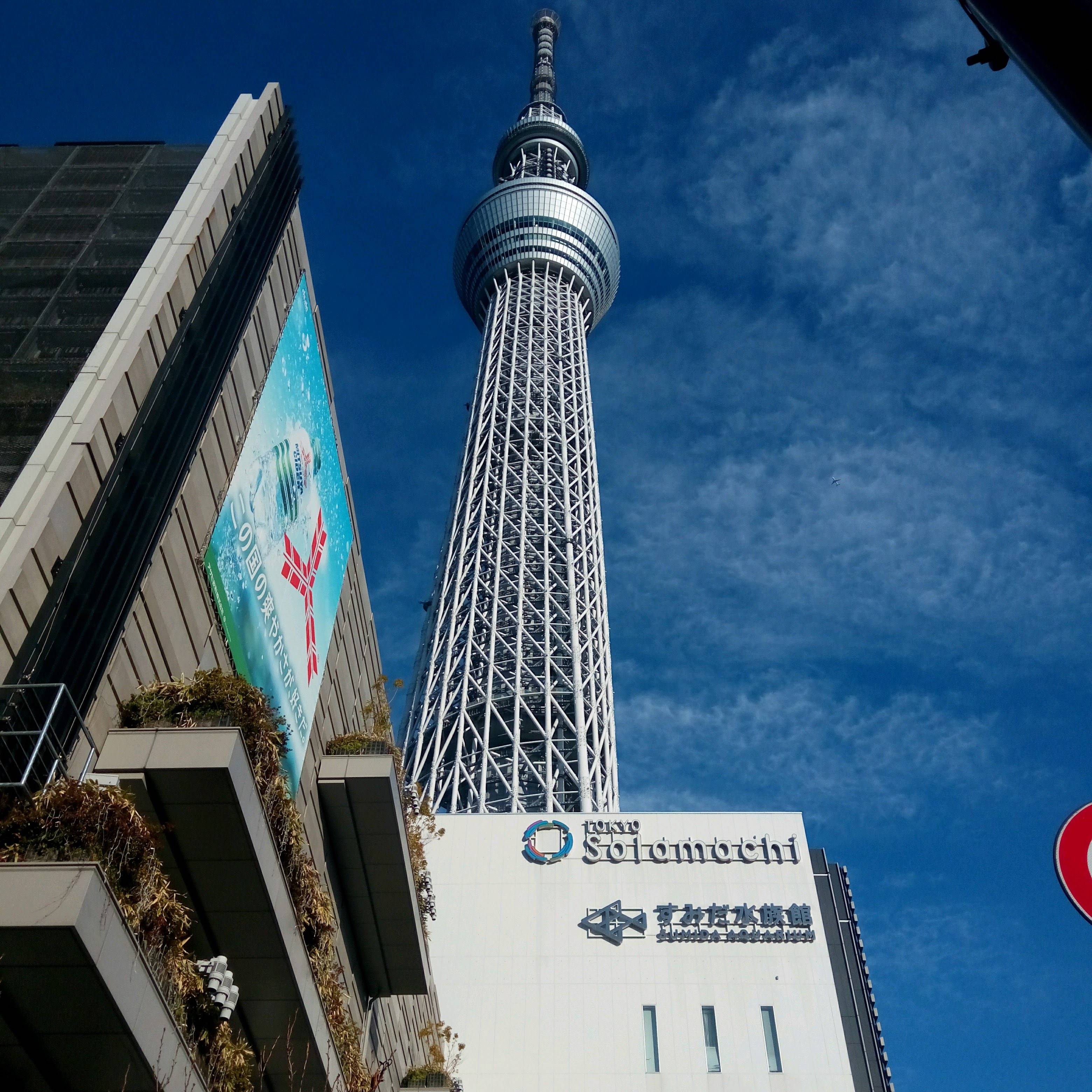 晴空塔墨田水族館
