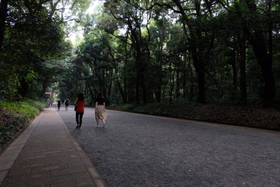 (照片來源:TripAdvisor)