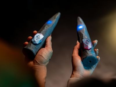 Раскройте секреты леса