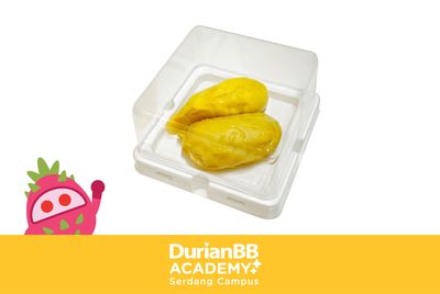 Durian Box