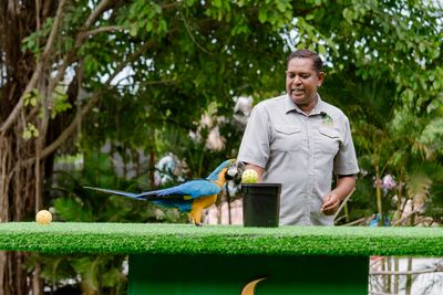 Bird Show