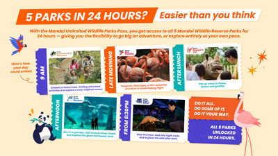 5 Parks Visited in 24 Hour