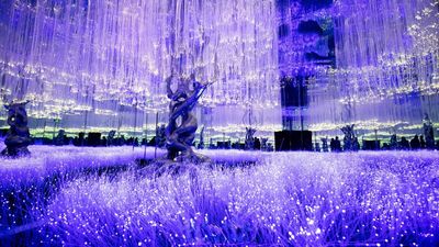 光影森林