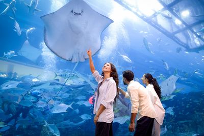 全球最大的懸浮水族館之一