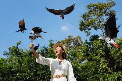 Bird Paradise in Singapore