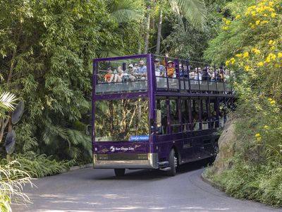 Skyfari 空中纜車
