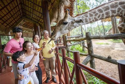 美食體驗與動物互動