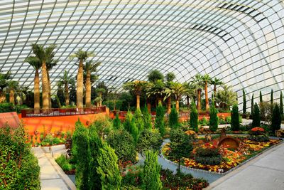 Flower dome