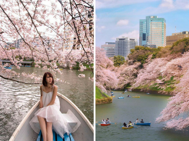 Instagramable Spot Tokyo 20 Cherry Blossom Picture Spots That Scream Insta goals 