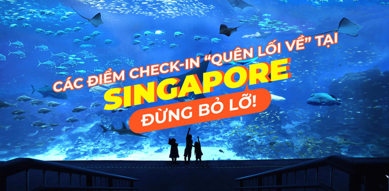 check in singapore thumbnail
