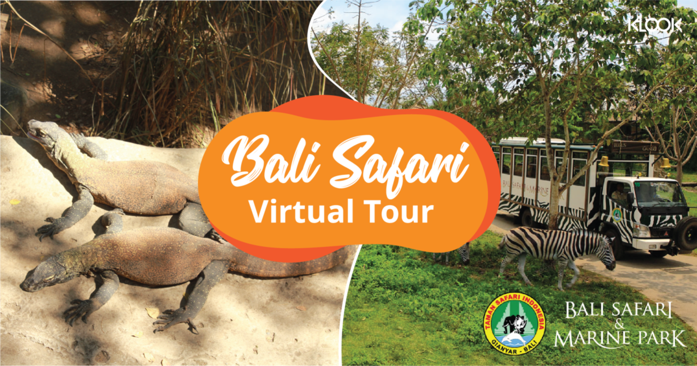 klook virtual tour across bali safari featuring komodo dragons 