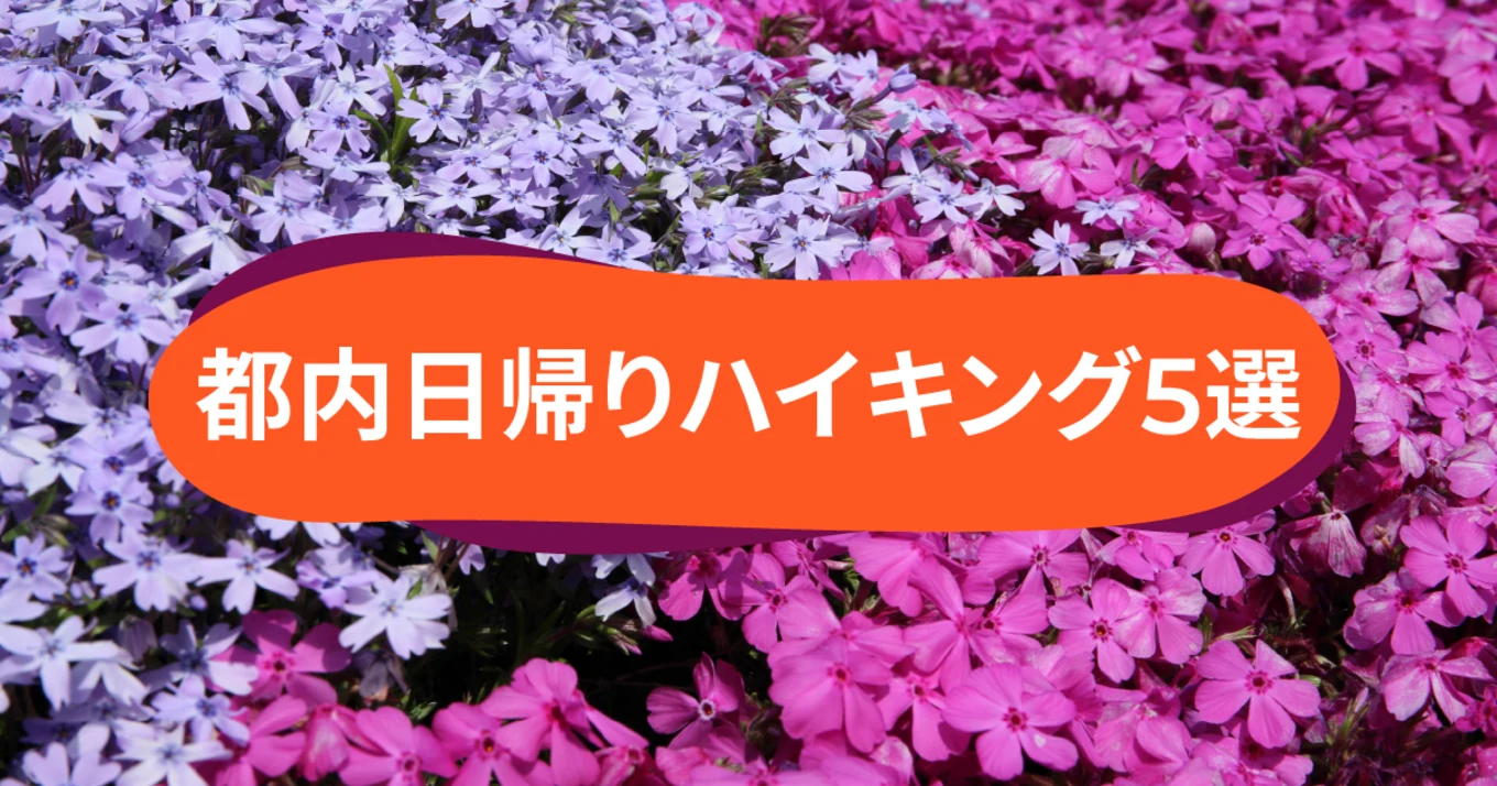 初心者も安心・東京から日帰り＆電車で行けるハイキングコース5選 [登山＆トレッキングもおすすめ]