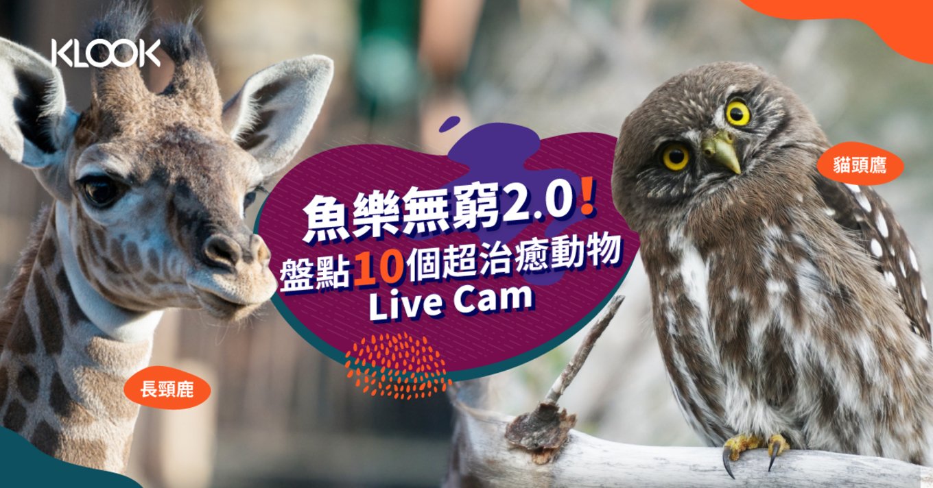 Animal Live Cam 魚樂無窮