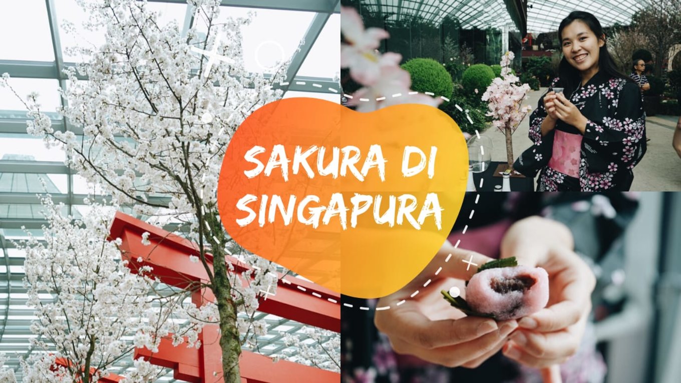 Sakura di Singapura