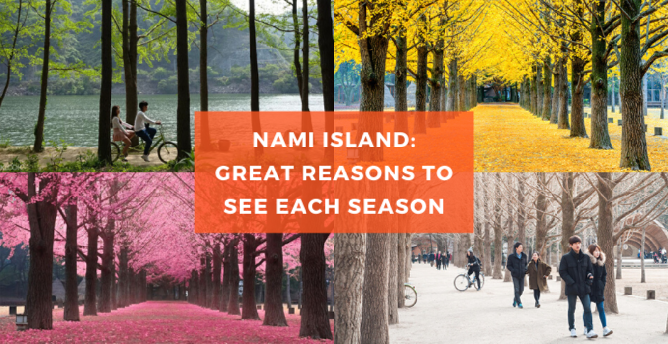 spring summer winter autumn reasons to visit nami island seoul korea