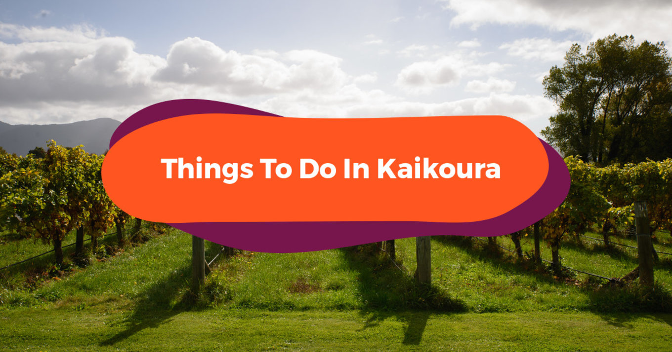 things to do in kaikoura