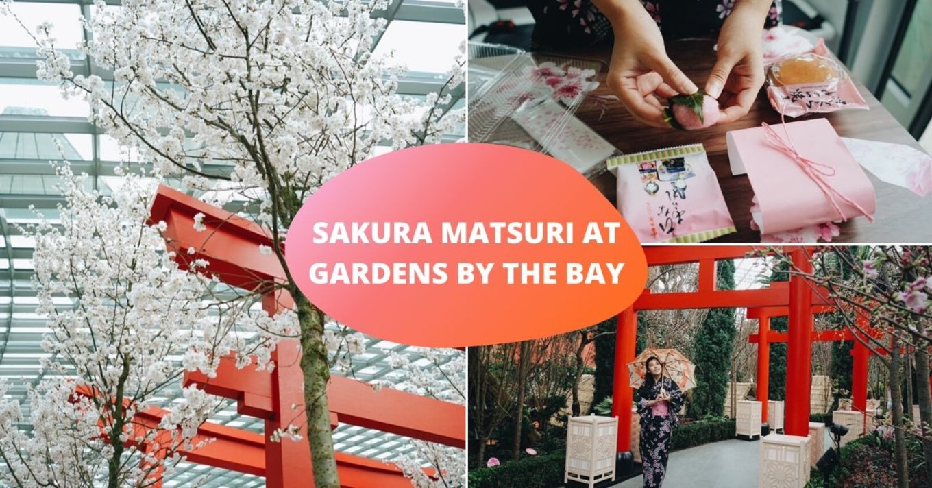Sakura Matsuri Gardens by the Bay
