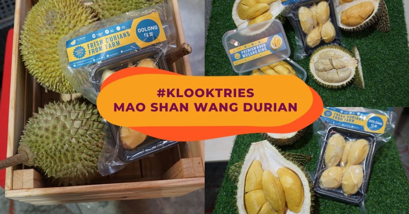 durian edition review cover image