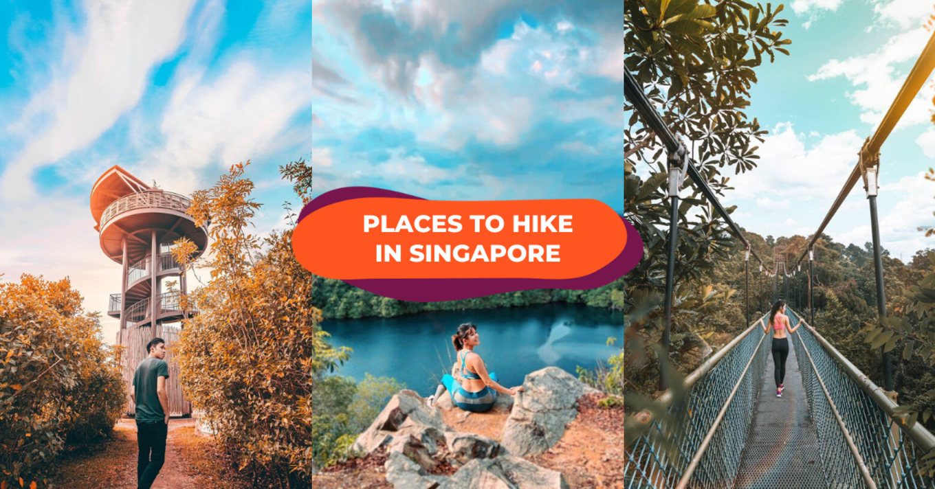 hiking in singapore trails 