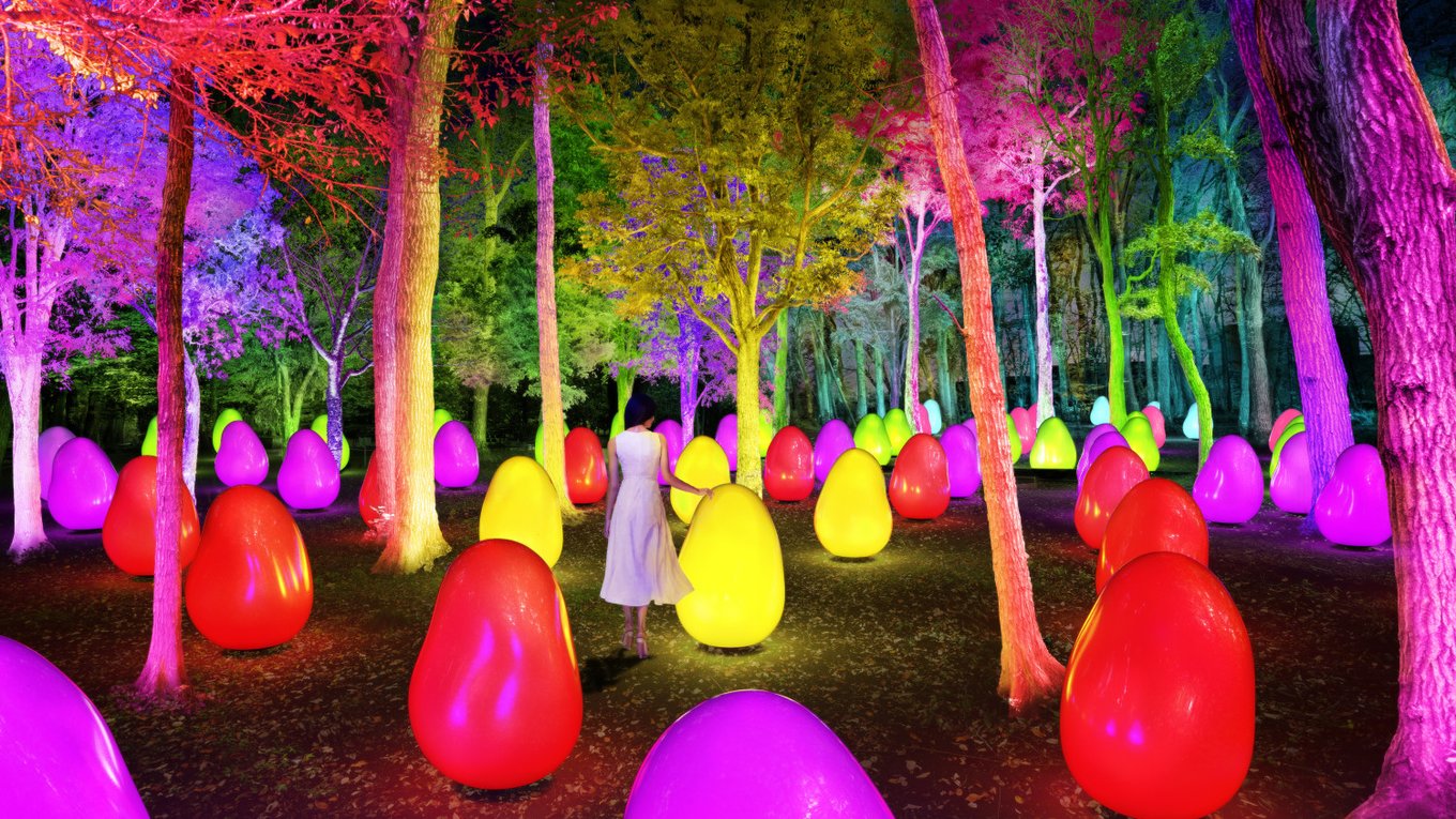 teamLab Resonating Life in the Acorn Forest