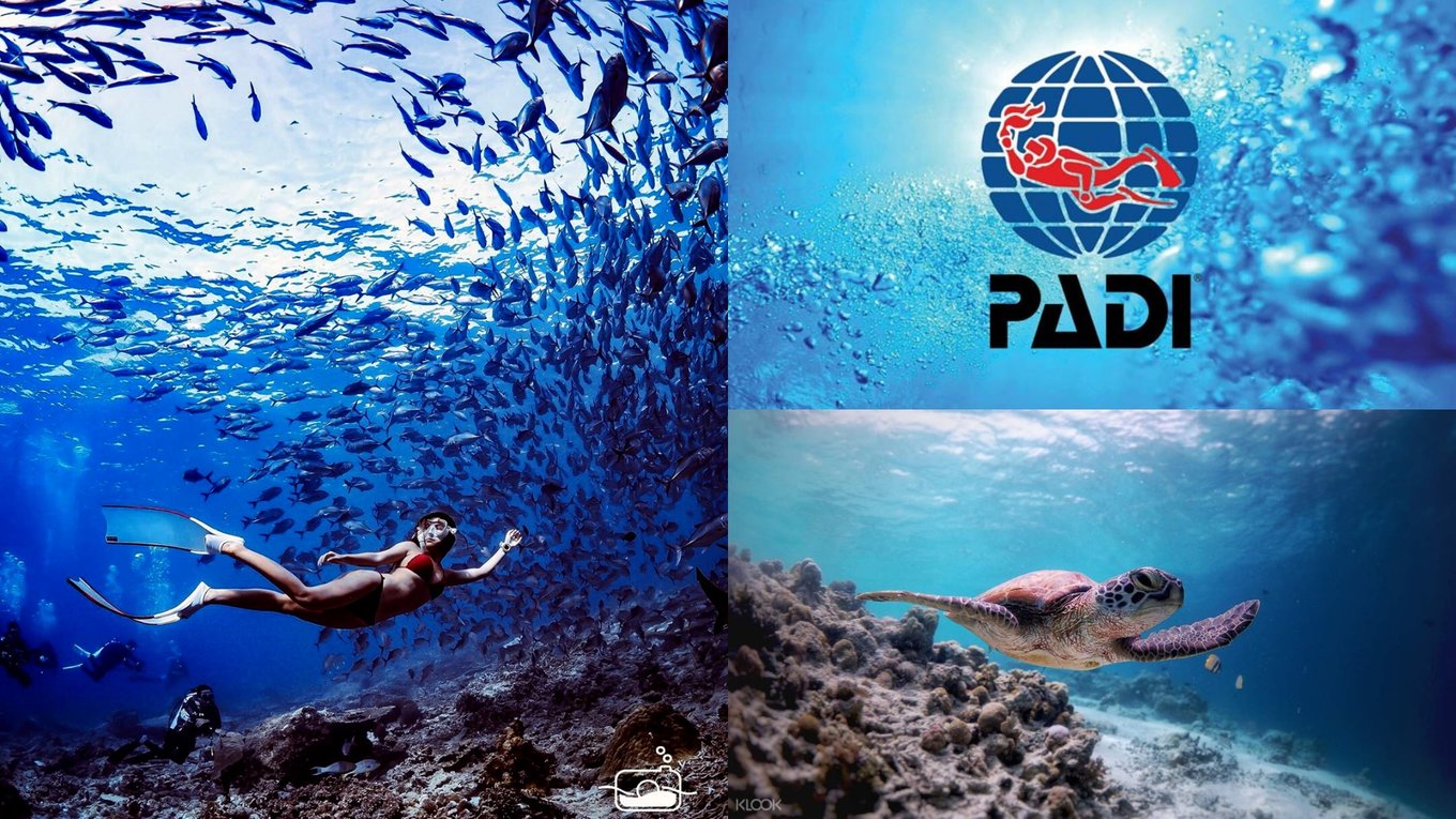 padi diving license 潛水證照
