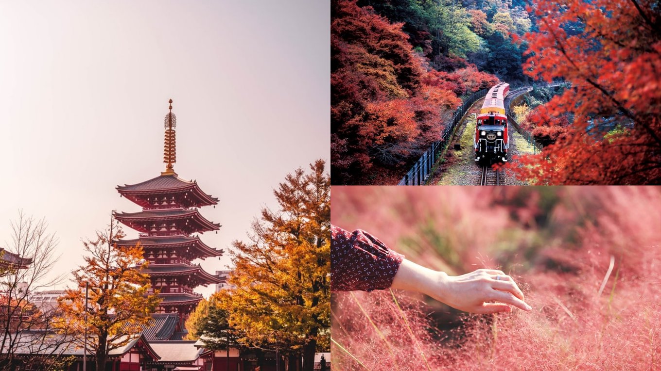 autumn destinations japan korea china taiwan