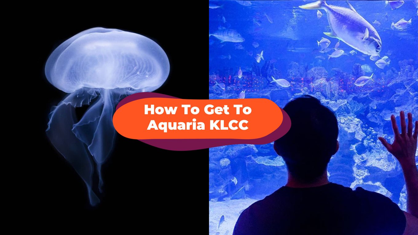 how to go to aquaria klcc