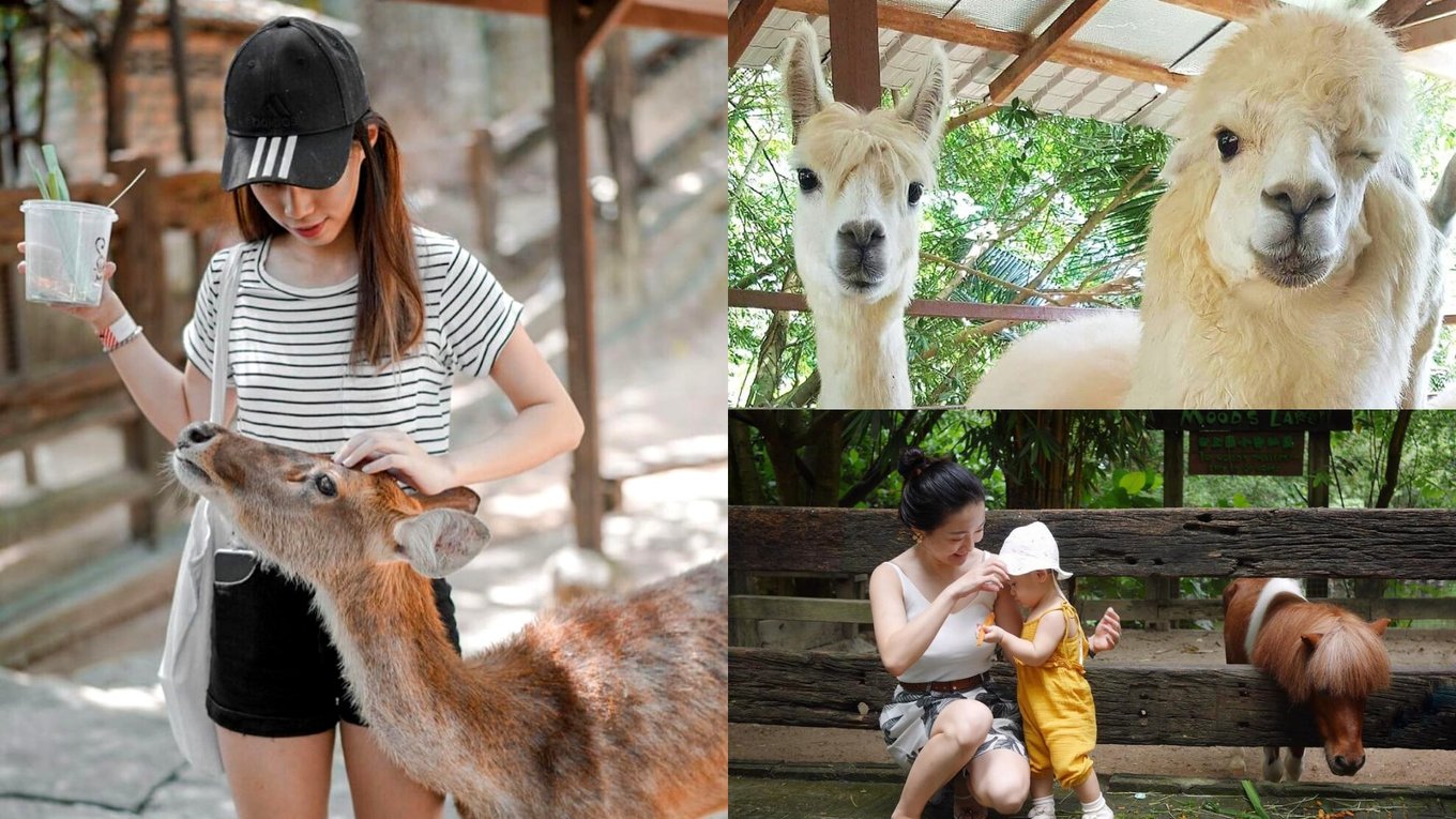 farm in the city petting zoo kl malaysia