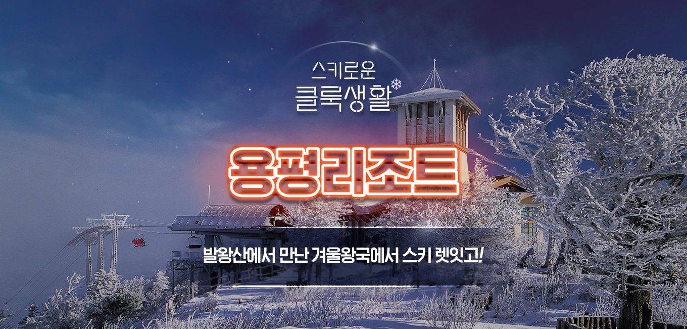 용평 배너