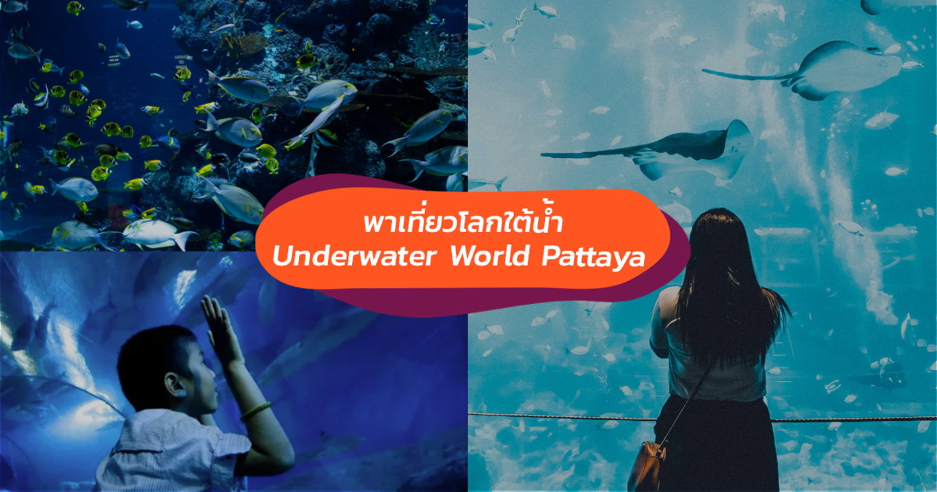 อันเดอร์วอเตอร์เวิลด์ พัทยา (Underwater World Pattaya) 