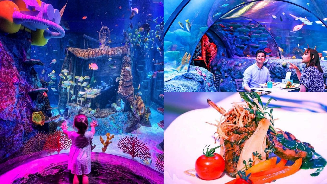 legoland malaysia sea life dining