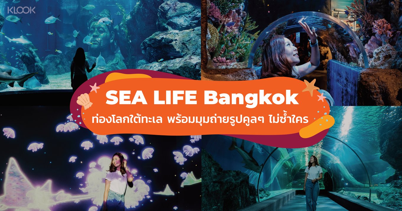 รีวิว พิพิธภัณฑ์ Sea Life Bangkok 2021 