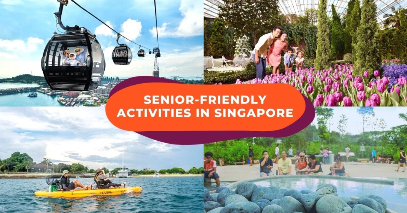 senior friendly activities cover image