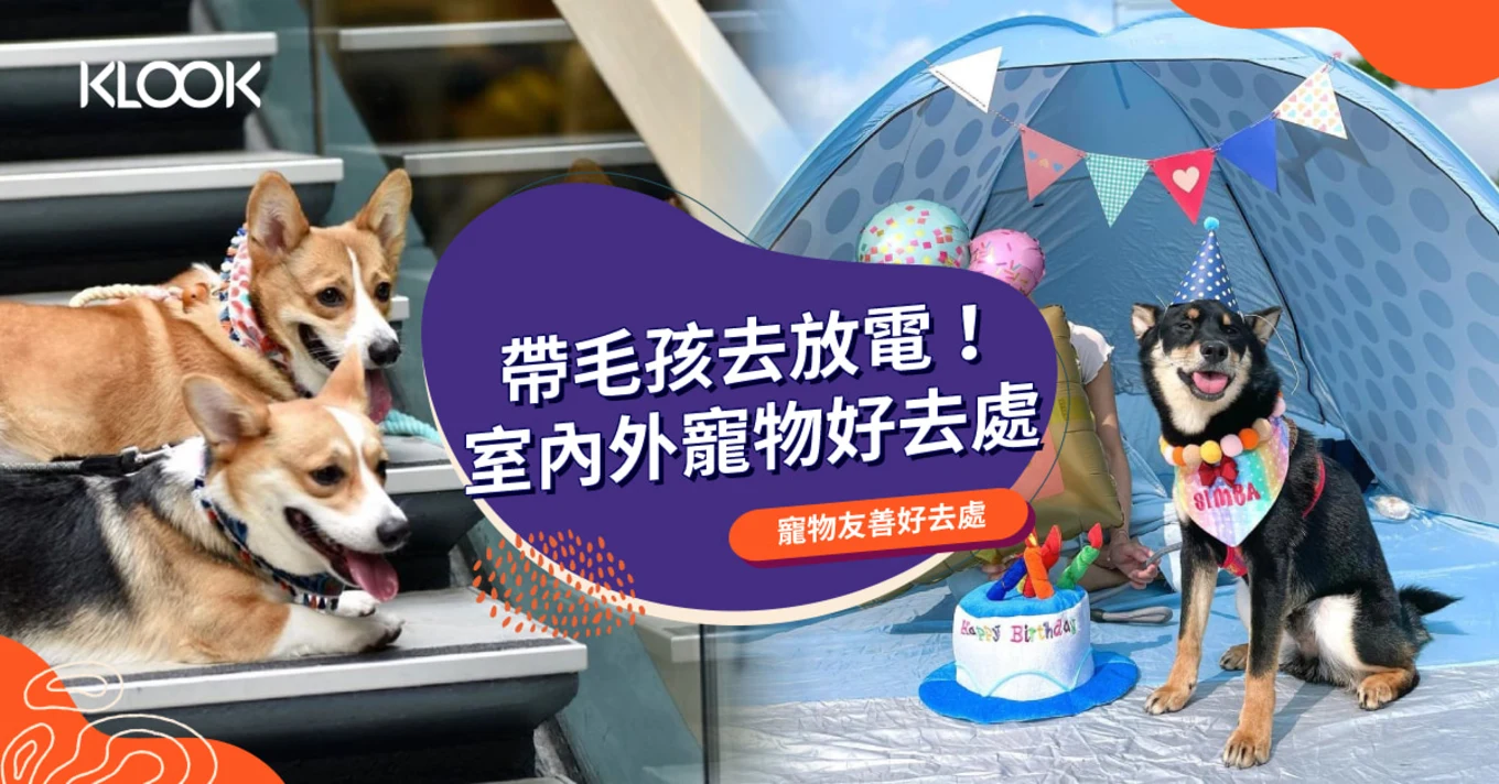 【狗狗好去處】室內外寵物放電好去處！寵物公園、寵物友善商場餐廳推介