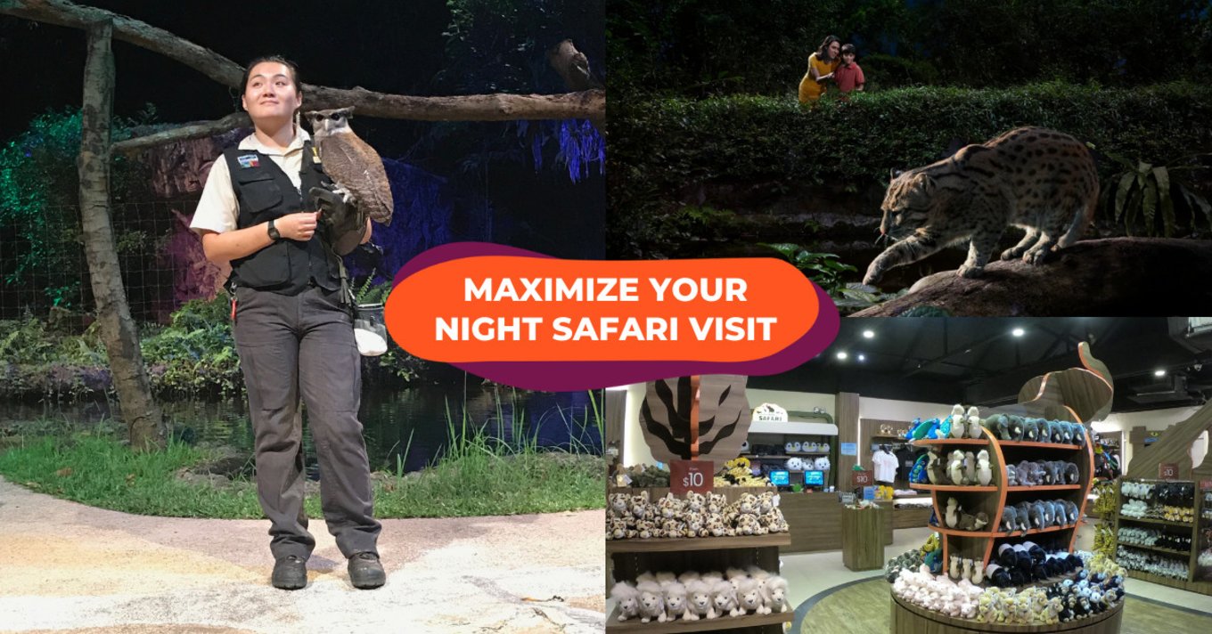 how to cancel night safari ticket