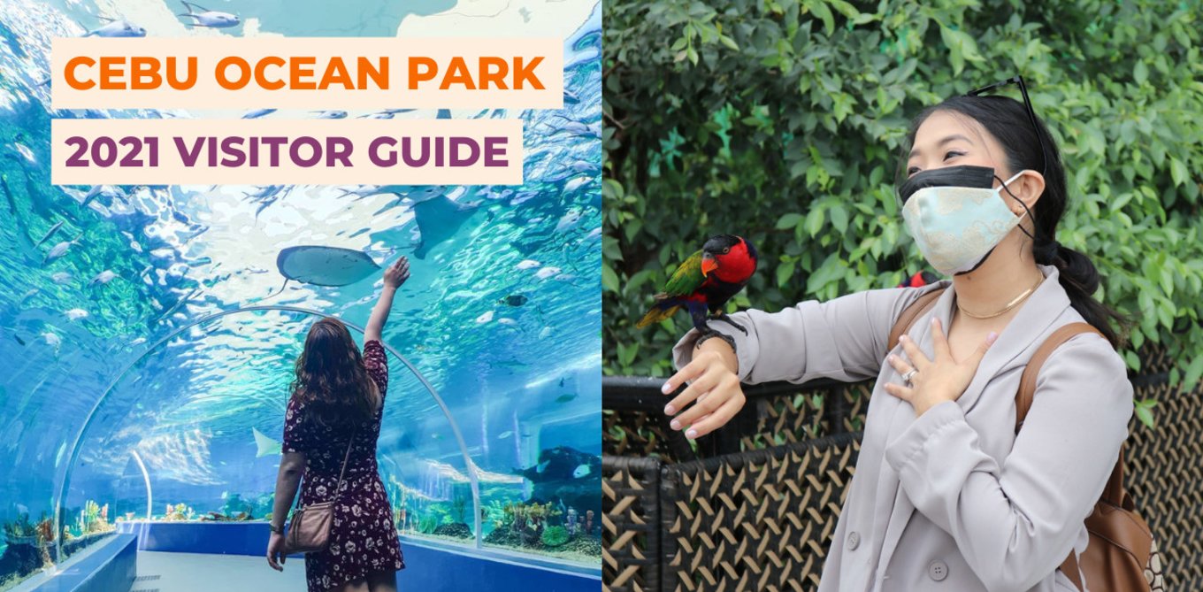 cebu ocean park attractions