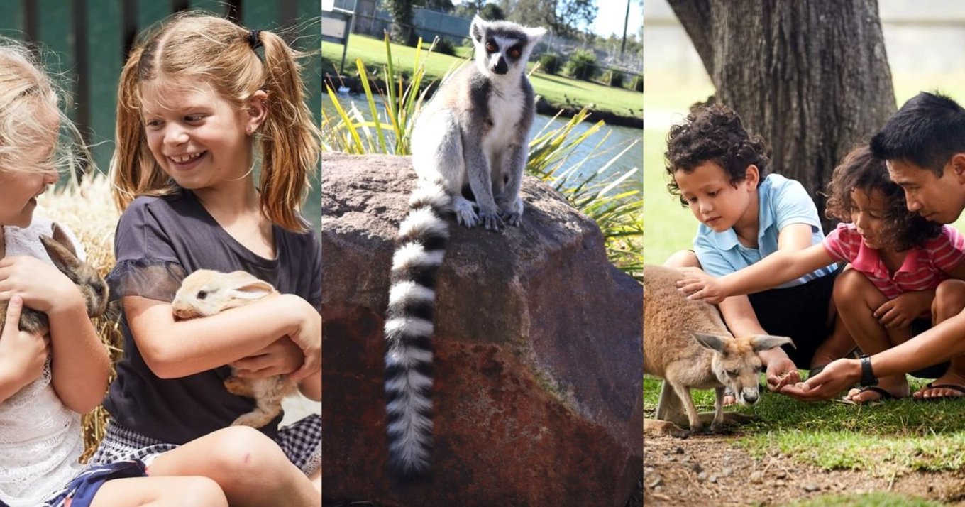 Visit Oakvale in Port Stephens - perfect for a family day out!