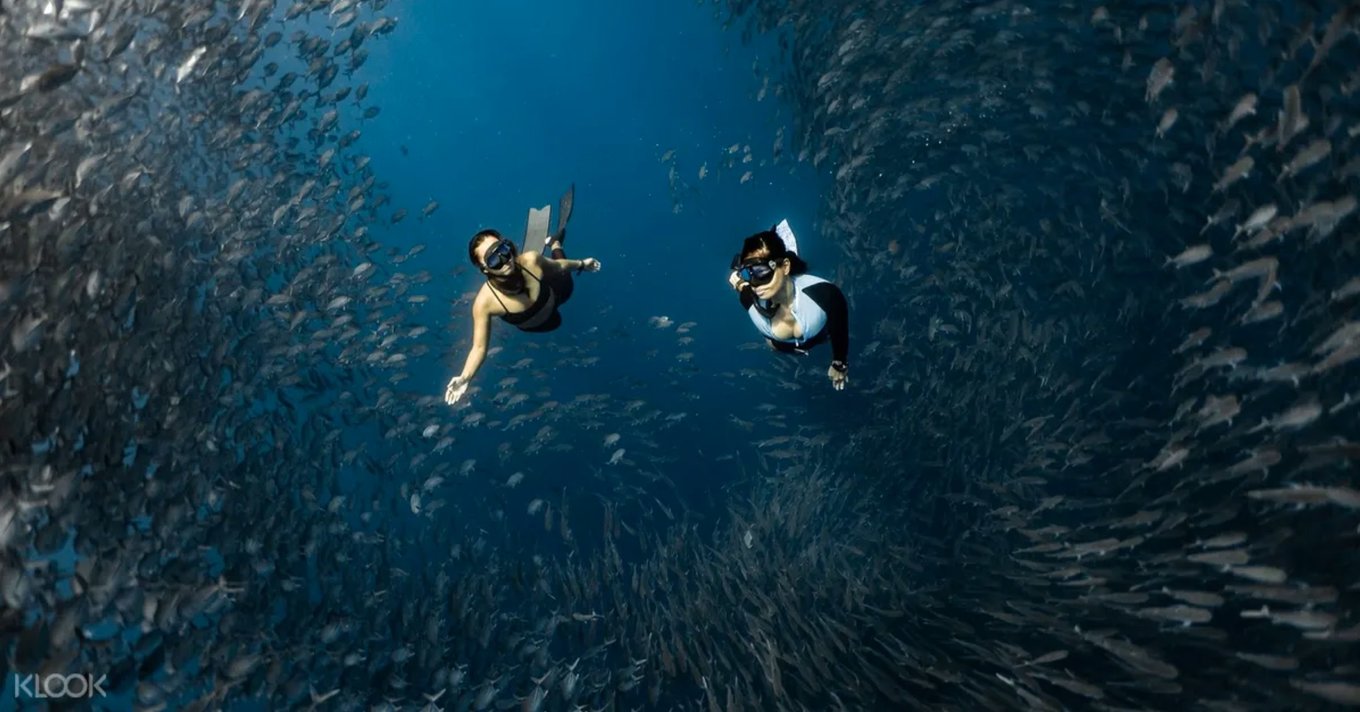two women fishes underwater diving in the philippines