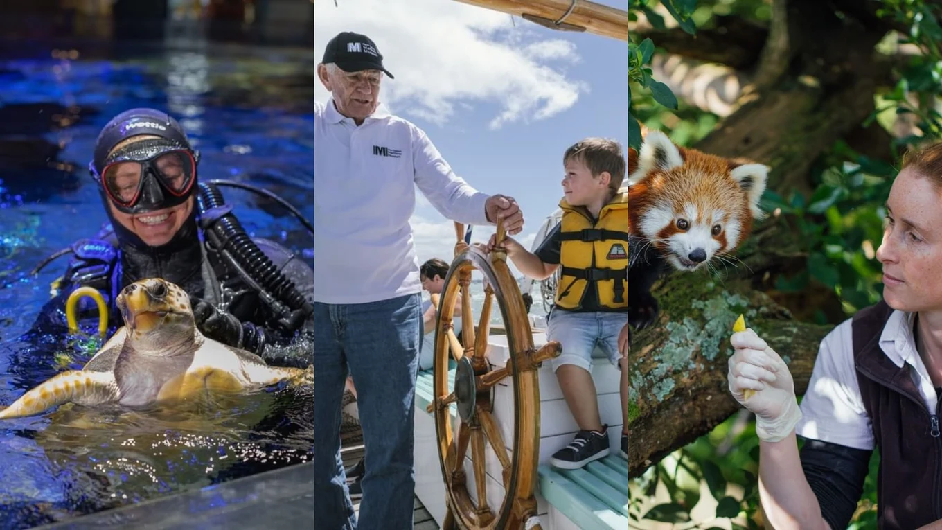 Image Credits: @sealifekellytarltons, @dstgeorgephoto, & @aucklandzoo on Instagram