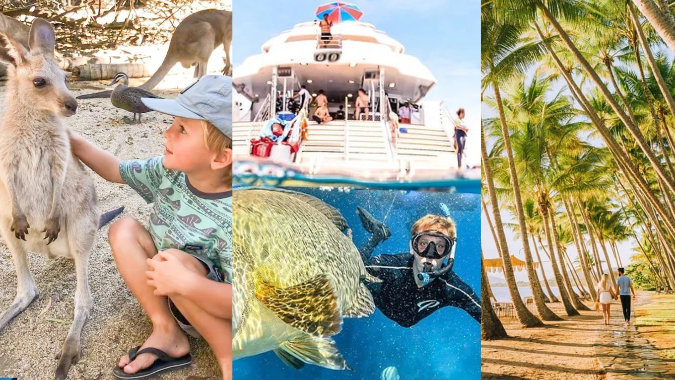 Image credit: @6reasonswhy_travelblog, @dive_down_under, @tropicalnorthqueensland