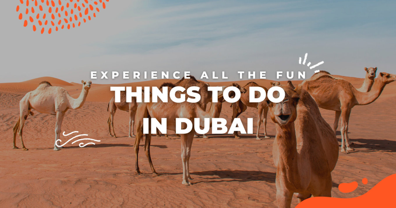 Experience All The Fun Things to Do in Dubai