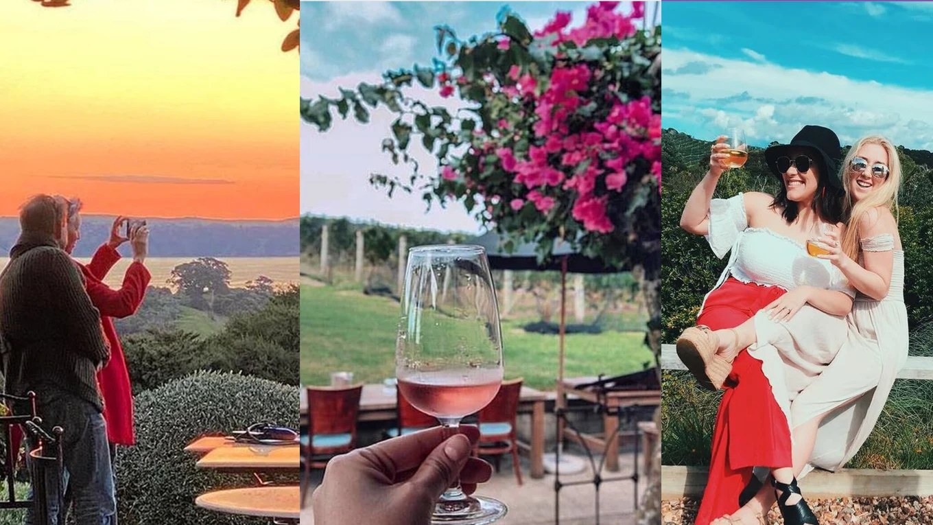 Image credits: @mudbrick_nz, @goldieestatenz, and @nikkidaoust