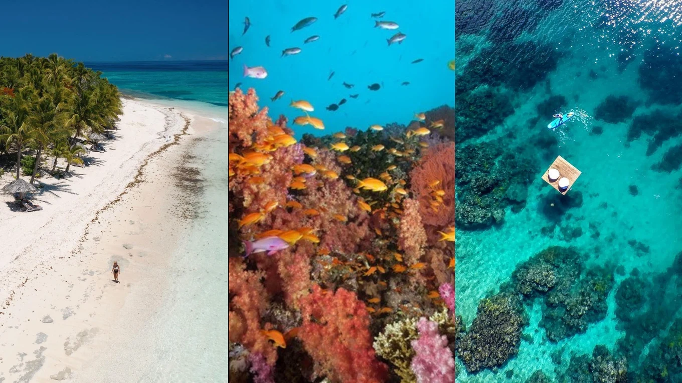  The beautiful views of Fiji - above and below water. Image credits - @takemetheretraveller, @tourismfiji, @tourismfiji on instagram